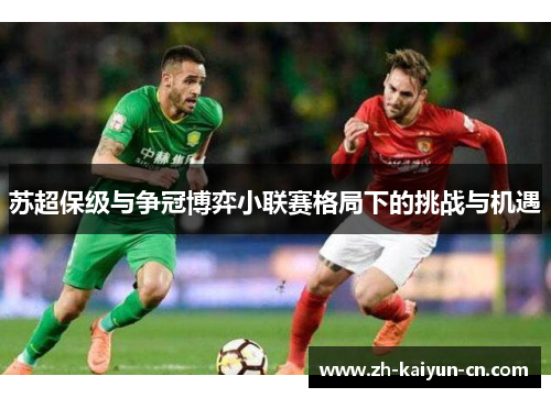 苏超保级与争冠博弈小联赛格局下的挑战与机遇 苏超保级与争冠博弈小联赛格局下的挑战与机遇